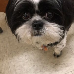 Meet your Posher, Michael